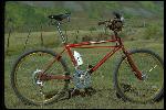 Lawwill Knight Pro Cruiser standing in field, Crested Butte, CO, September 1979. Built in Oakland, CA. Owned by Erik Koski of Mill Valley, CA. Painted red, with gold rims. Static side view. At least 5 different bikes were shot at this site with the same background, Breezer  2, Richman, Pro Cruiser, Cook Bros., and a Ritchey. Photo by Wende Cragg. 