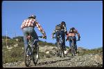 From the Azalea Hill drop off point, it was only a 300 foot climb to the start. Left to right: Three plaids, three Breezers: Joe Breeze, Wende Cragg, Fred Wolf, heading away from camera towards Serpentine Hill, and other riders on Pine Mountain Truck Road. 