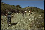 Further up Pine Mtn. Truck Road towards Repack. Left to right, Seven riders and a dog from Fred Wolf up to Roy Rivers, Alan Bonds’ dog Ariel. Actually, riding to the start of the Enduro, which included Repack. 